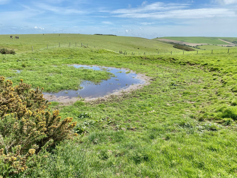 South Downs Way. Image © PlanetSKI